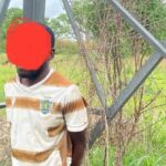 SIC TRAVA TENTATIVA DE VANDALISMO À TORRE DA LINHA DE TRANSPORTE DE ENERGIA LAÚCA-BITA