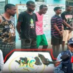 SIC DETÉM CINCO CIDADÃOS IMPLICADOS NOS CRIMES DE ASSOCIAÇÃO CRIMINOSA