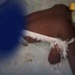 JOVEM MORRE POR NÃO DEIXAR ROUBAR O DINHEIRO DO PATRÃO